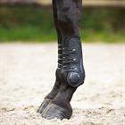 Tendon Boots QHP Champion Black