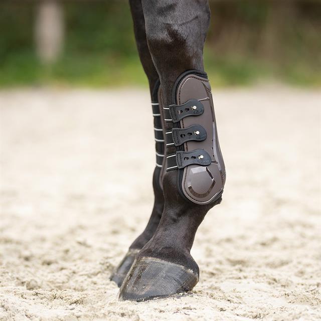 Tendon Boots QHP Champion Brown
