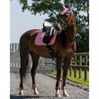 Tendon Boots QHP Pink