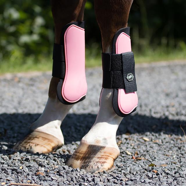 Tendon Boots QHP Pink