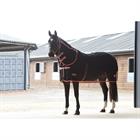 Therapy-Tec Cooler Rug Weatherbeeta WickDri Cooler Com Black