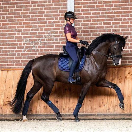 Top 5 favorite products of Renate van Uytert