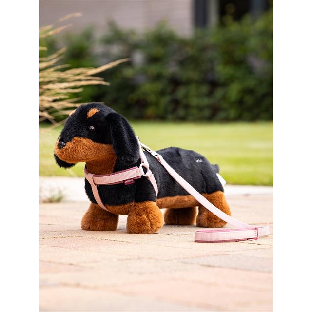 Toy Dog LeMieux Dachshund Black-Brown