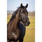 Training Bridle HORSEGEAR Bridle HGWellington Black