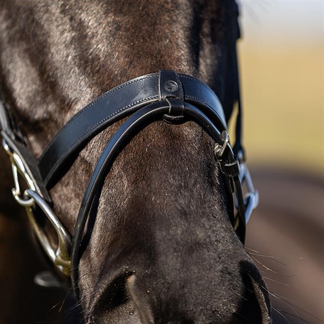 Training Bridle HORSEGEAR Bridle HGWellington Black