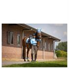 Training Shirt BR Event Light Blue