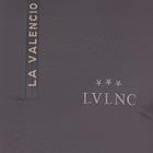 Training Shirt La Valencio LVValentino Men Grey