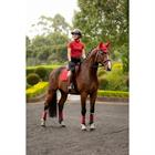 Training Shirt LeMieux Mia Mesh Baselayer Red