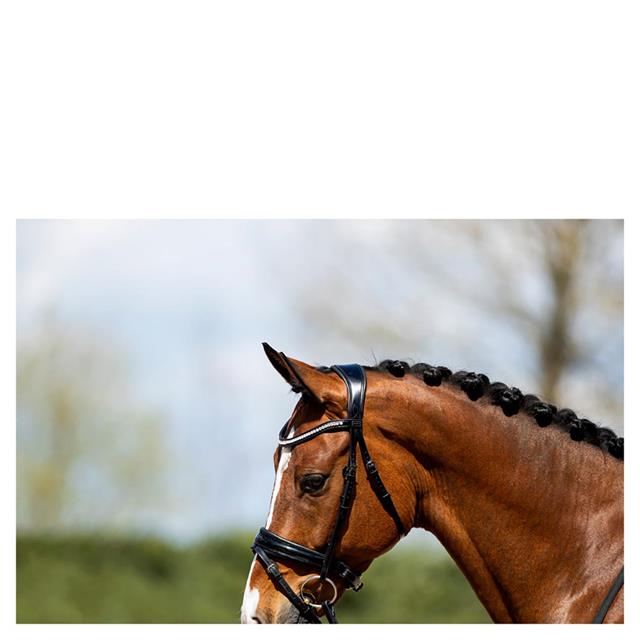 Trense ATH20005 Anky Black
