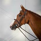 Trense Cavesson Hunter US Hunter Collection Dy'on Brown