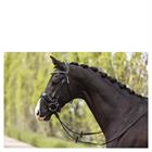 Trense Comfort Fit Double Anatomical Anky Black