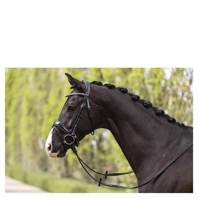 Trense Comfort Fit Double Anatomical Anky Black