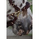 Trense Human & Horse Heart By Greetje Hakvoort Brown