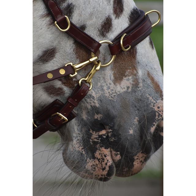 Trense Human & Horse Heart By Greetje Hakvoort Brown