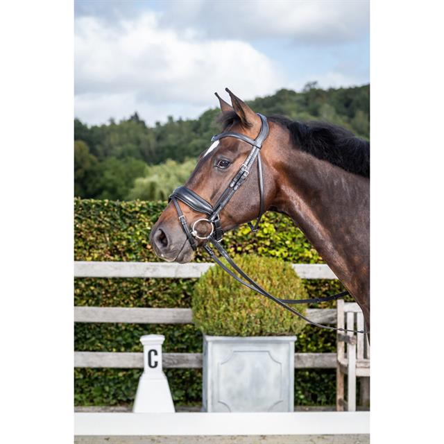 Trense Matte Large Crank Noseband Dressage Collection by Dy'on Black