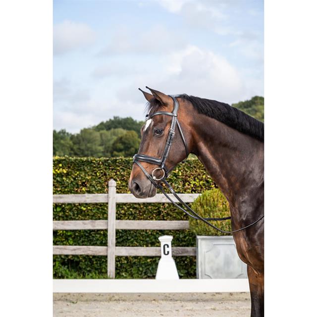 Trense Matte Noseband Dressage Collection by Dy'on Black