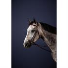 Trense mit hannoverschem Strickreithalfter New English Collection by Dy'on Brown