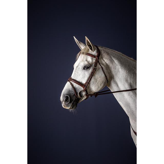 Trense mit kombiniertem Reithalfter New English Collection by Dy'on Brown