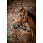 Trense mit Strickreithalfter D Collection Dy'on Brown