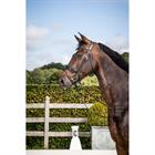 Trense Patent Large Crank Noseband Dressage Collection by Dy'on Black
