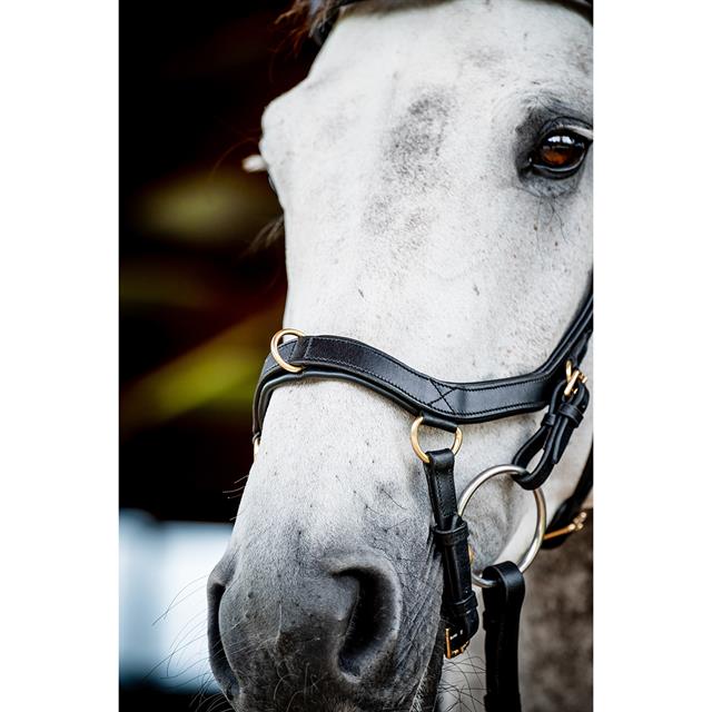 Trense Rambo Micklem Multi Bridle 2.0 Black
