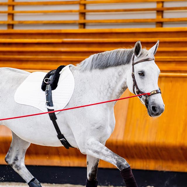 Trense Rambo Micklem Multi Bridle 2.0 Brown