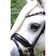 Trense Showtime Special A-Pony HB Black-Red