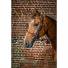 Trense Strick in Leder eingefasst Dy'on Brown