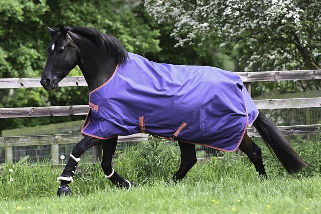 Turnout Blanket Light Freedom 0g SS25 Bucas Blue-Pink