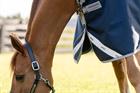 Turnout Rug Horseware Amigo 1200D 50gr Dark Blue-Grey