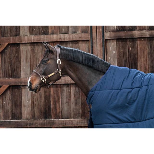Unterdecke Classic 100 g Kentucky Dark Blue