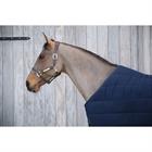 Unterdecke Skin Friendly 300 g Kentucky Dark Blue