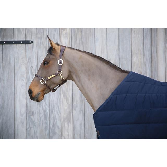 Unterdecke Skin Friendly 300 g Kentucky Dark Blue