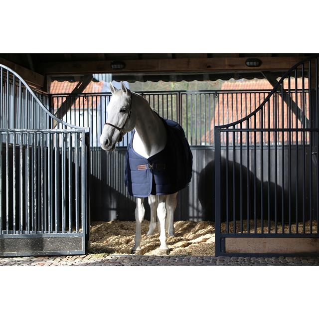 Unterdecke Skin Friendly 300 g Kentucky Dark Blue