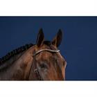 V-Shaped Silver Clincher Browband US Hunter Dy'on Brown