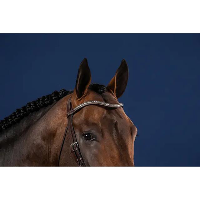V-Shaped Silver Clincher Browband US Hunter Dy'on Brown