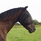 VliegenMask Epplejeck Stretchy Black-Black