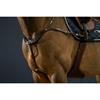 Vorderzeug Anatomisch D Collection by Dy'on Brown