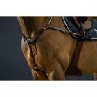 Vorderzeug Anatomisch D Collection by Dy'on Brown