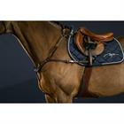 Vorderzeug Anatomisch D Collection by Dy'on Brown