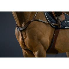 Vorderzeug Anatomisch D Collection by Dy'on Brown