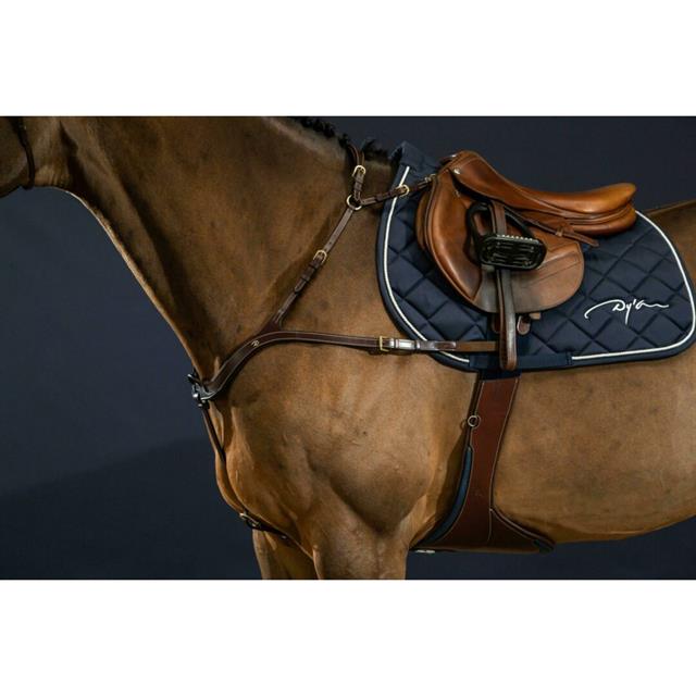Vorderzeug Anatomisch D Collection by Dy'on Brown