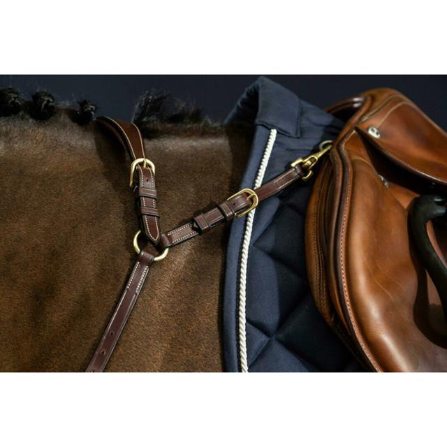 Vorderzeug Anatomisch D Collection by Dy'on Brown