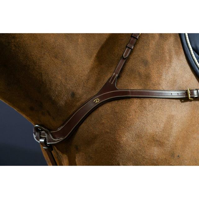 Vorderzeug Anatomisch D Collection by Dy'on Brown