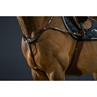 Vorderzeug Anatomisch D Collection by Dy'on Brown