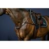 Vorderzeug Anatomisch New English Collection Dy'on Brown