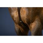 Vorderzeug Anatomisch New English Collection Dy'on Brown