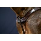 Vorderzeug Anatomisch New English Collection Dy'on Brown