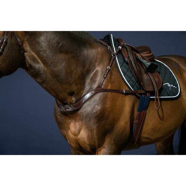 Vorderzeug Anatomisch New English Collection Dy'on Brown
