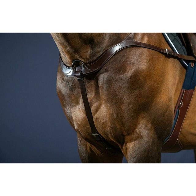 Vorderzeug Anatomisch New English Collection Dy'on Brown